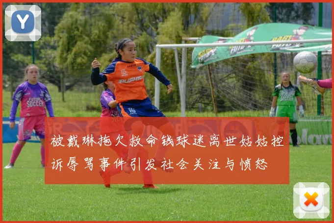 被戴琳拖欠救命钱球迷离世姑姑控诉辱骂事件引发社会关注与愤怒