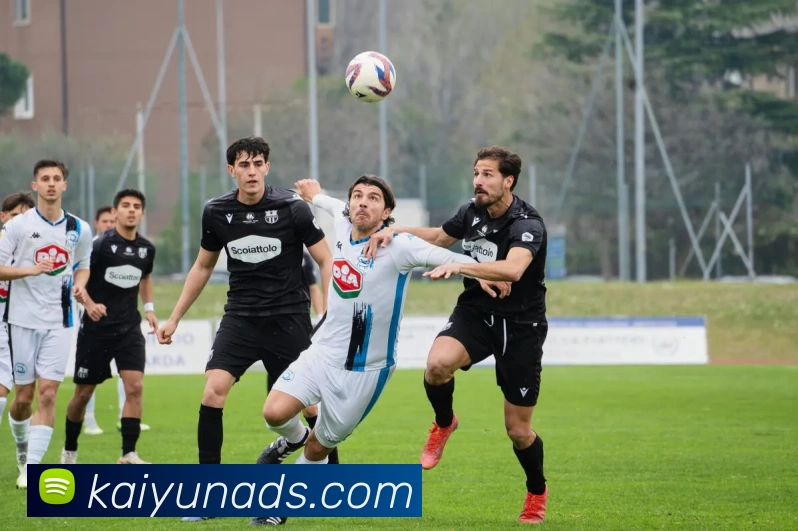 开云体育服务体系